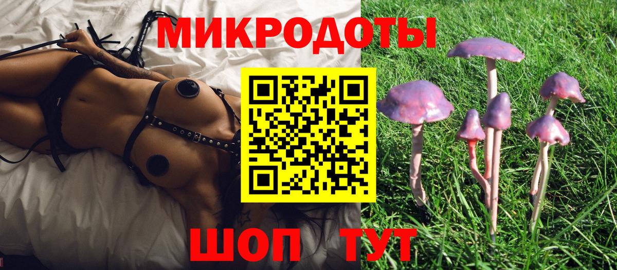 Галлюциногенные грибы Psilocybe  Вход с VPN  Усть-Илимск 